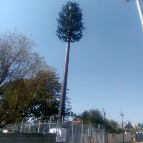 Tree Mast